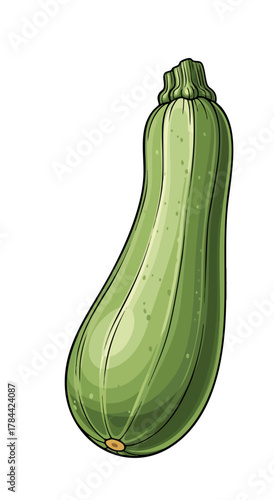 Cartoon illustration of a fresh zucchini vegetable, isolated on white background
