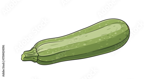Digital illustration of a green zucchini with detailed textures. White background
