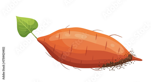 Illustration of an orange sweet potato with a green leaf and attached soil