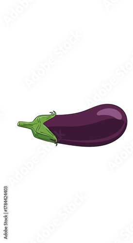 A completely white background, devoid of any discernible features or elements