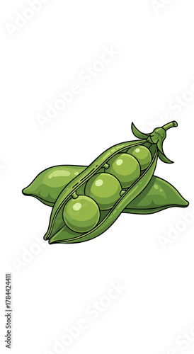 Cartoon illustration featuring a vibrant green vegetable on a plain white background