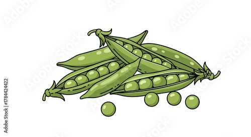 Illustration featuring green pea pods, some open revealing peas, and loose peas on white background