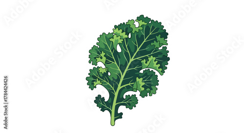 A vibrant, detailed illustration of a single kale leaf against a clean white background