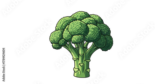 A detailed cartoon illustration of a fresh broccoli head on a clean white background