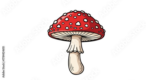 Illustration of a red toadstool mushroom with white spots. Detailed outline with simple color