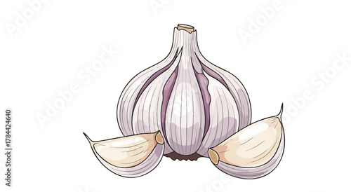 A detailed illustration of a garlic bulb with two cloves separated on a white background