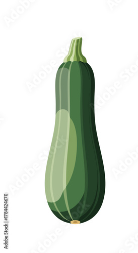 A simplified vector illustration of a green zucchini against a stark white background