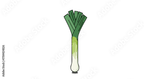 A stylized illustration of a leek vegetable, stem and green leaves, on white background