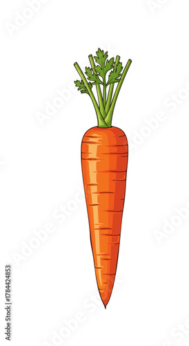 A detailed illustration of fresh celery stalks and leaves on a white background