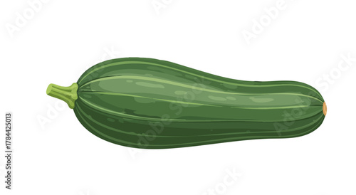 A single, elongated green vegetable with a stem on a white background