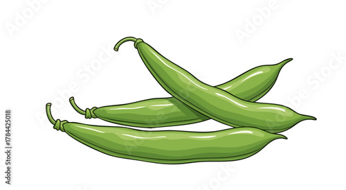 Illustration of three fresh green bean pods with curled stems, isolated on a white background