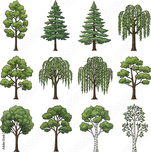 Isolated a kinds of deferent tree drawing on white background. side view plant. vector art with white background..