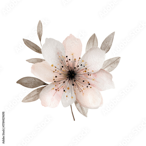 Delicate, pastel-colored flower with soft leaves