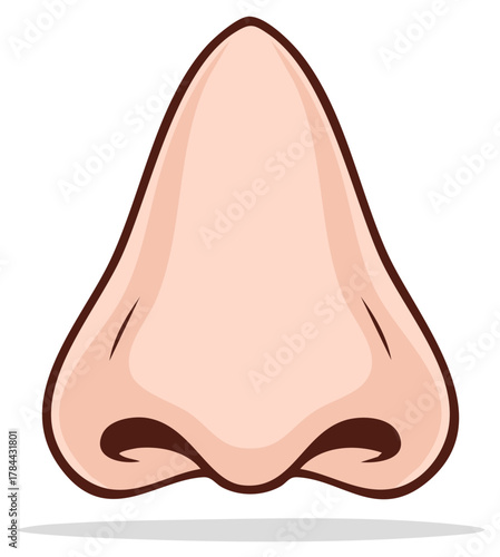 Cartoon illustration of a human nose, frontal view with details and shadow.