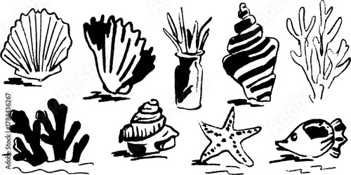 Aquatic elements including shells, corals, and starfish as hand-drawn outlines. Set of vector illustrations for decorative purposes.