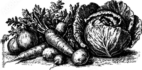 Hand-drawn vegetables including carrot, onion, and cabbage create a vintage illustration. This black outline engraving vector set captures fresh produce.