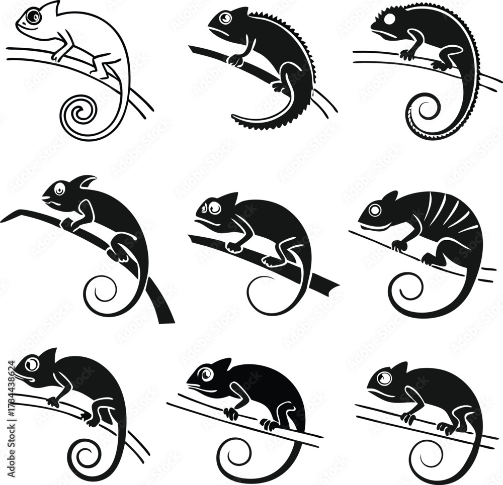Obraz premium Charming chameleon collection, perfect for nature lovers and wildlife enthusiasts, ideal for educational projects and creative designs, a versatile asset
