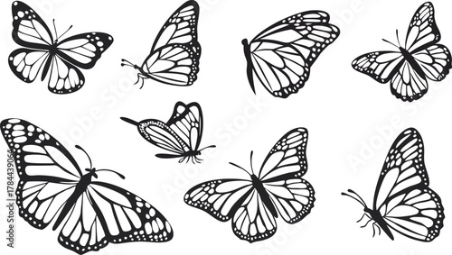 Elegant butterfly swarm, a symbol of transformation and beauty, perfect for nature designs, spring themes, or delicate branding, originally a vector graphic