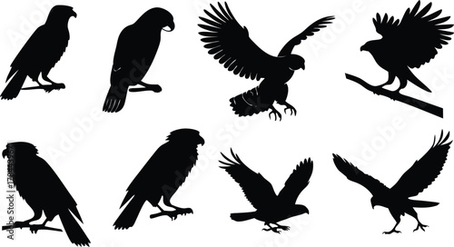 Majestic eagles soaring and perched: A collection of powerful avian silhouettes, perfect for nature, wildlife, and strength-themed designs. Originally vector graphics.