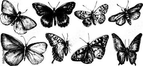 Vintage butterfly set with black outline and hand-drawn style. Perfect for art and decor, featuring detailed illustrations in vector format.
