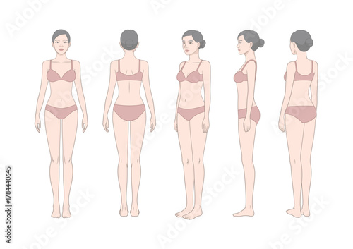 Female body anatomy reference set – lingerie model front, side, and back view illustration