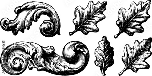 Detailed vector illustration of oak leaves and ornate elements in a vintage style. Decorative black and white set ideal for artistic applications.