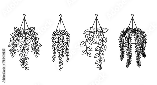 Unique hanging plants in monochrome outline, perfect for adding a touch of nature and minimalist style to your designs. Ideal for plant lovers!