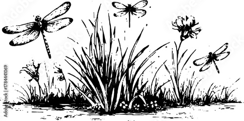 Vintage illustration of a dragonfly above grass and flowers in a detailed line art style. Features a black and white theme in a vector format.