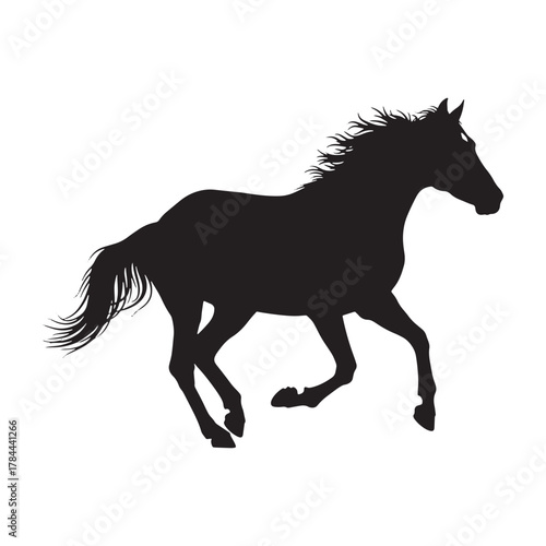 Horse silhouette isolated on white background