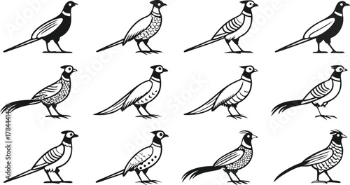 Elegant pheasant illustrations, dynamic wildlife designs, perfect for nature lovers and hunters, showcasing classic bird art in a modern, scalable format