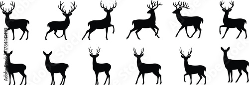 Deer silhouette sequence, walking deer poses, black antlered deer, animal motion study, wildlife animation frames, elegant stag design, nature movement illustration, vector art