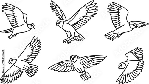 Elegant owl illustrations in flight, dynamically soaring wildlife art with a vintage feel, perfect for logo design, nature themes, and educational resources