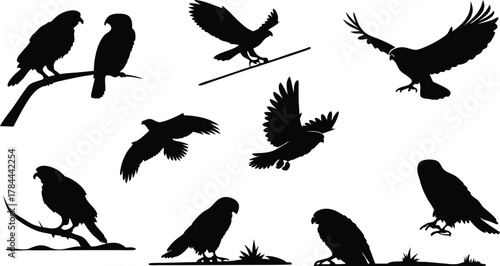 Majestic collection of eagle silhouettes, powerful birds in flight and perched, perfect for wildlife projects or symbolic design, originally vector art