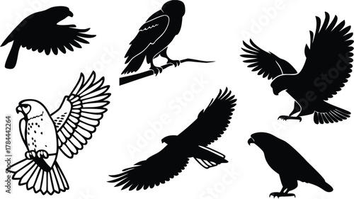 Majestic raptors soaring, a collection of powerful hunting birds in flight, symbols of freedom and nature's wild beauty, originally a scalable vector graphic