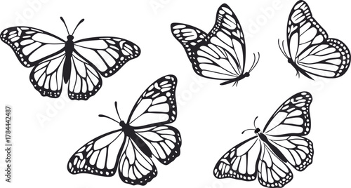 Elegant butterflies flying gracefully, a symbol of transformation and beauty, perfect for spring designs and nature-inspired projects, originally vector graphics