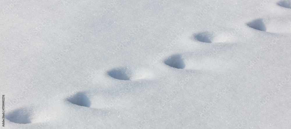 Naklejka premium A snow covered ground with a line of footprints