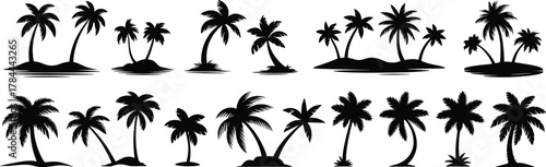 Palm tree silhouettes, tropical icons, black vector trees, exotic nature shapes, summer beach graphics, isolated palms, vacation symbols, editable clipart, paradise elements, design assets