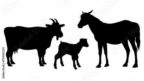 Silhouette of a cow, a goat, a baby goat and a horse standing on a white background in the farmyard