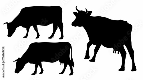 Illustration of three black cow silhouettes in different poses grazing and standing on a white background