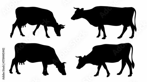 Four black cow silhouettes in various grazing and standing positions against a white background plain