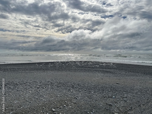 Seagulls at Hokitika Beach NZ