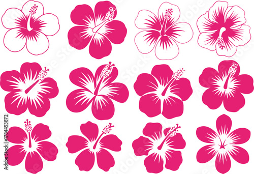 Collection of vibrant pink hibiscus flowers in various artistic styles