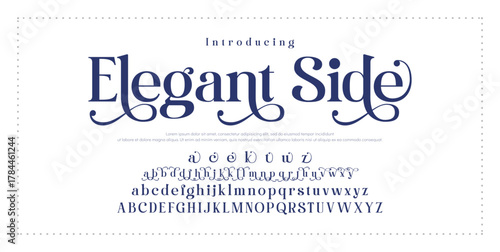 legant Font Uppercase Lowercase and Number. Classic Lettering Minimal Fashion Designs. Typography modern serif fonts regular decorative vintage concept. vector illustration.