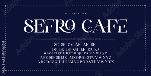 Luxury sans serif alphabet letters font and number. Classic Lettering Minimal Fashion Designs. Typography decorative wedding fonts and logo. vector illustration.