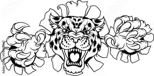 Photography A jaguar, panther, leopard or cheetah wildcat spotted cat sports team mascot