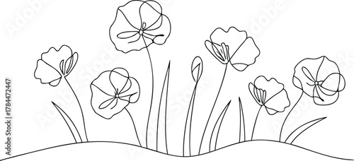 Black and white line art of poppy flowers floral nature