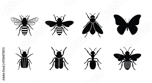 Black and white illustration depicting various insects including bees and butterflies