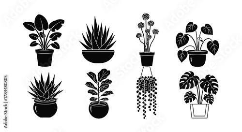A collection of potted indoor plants in a minimalist black and white style