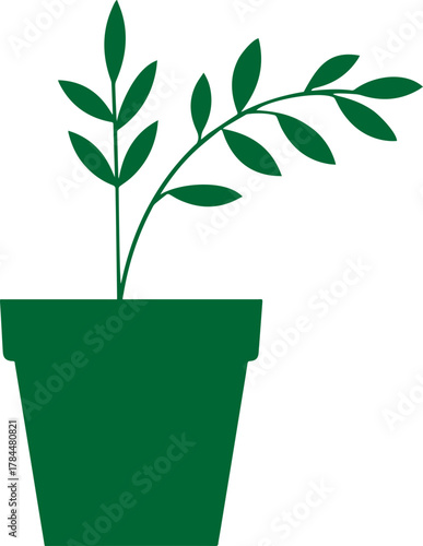 vector silhouette of a plant transparent with pot 