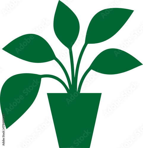 vector silhouette of a plant transparent with pot 